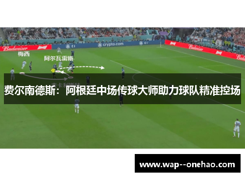 费尔南德斯：阿根廷中场传球大师助力球队精准控场