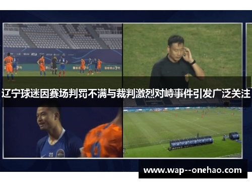 辽宁球迷因赛场判罚不满与裁判激烈对峙事件引发广泛关注