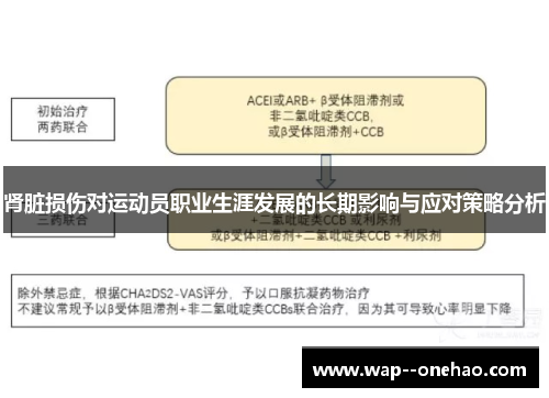 肾脏损伤对运动员职业生涯发展的长期影响与应对策略分析