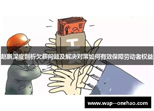 赵鹏深度剖析欠薪问题及解决对策如何有效保障劳动者权益