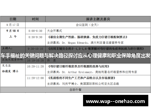 车手福祉的关键问题与解决路径探讨应从心理健康和职业保障角度出发