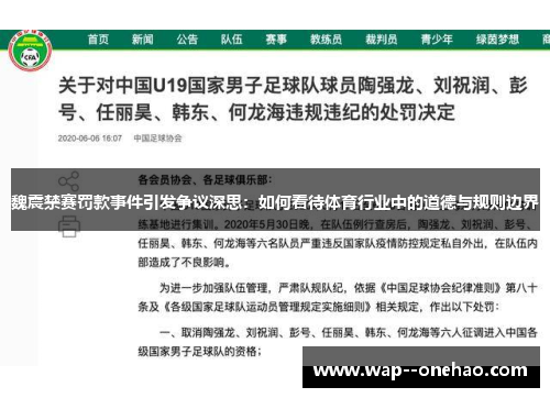 魏震禁赛罚款事件引发争议深思：如何看待体育行业中的道德与规则边界