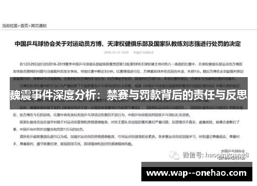 魏震事件深度分析：禁赛与罚款背后的责任与反思